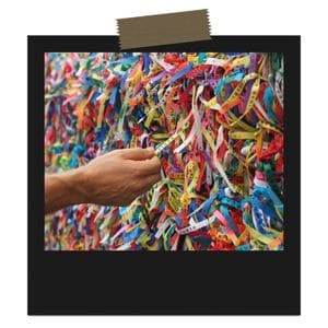 理由4：実用性とコレクション性