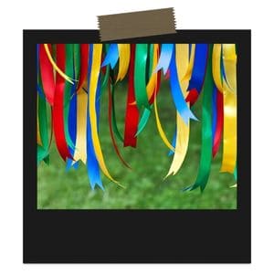 理由2：カラフルさと視覚的アピール